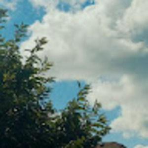 Meet your Posher, Jasper